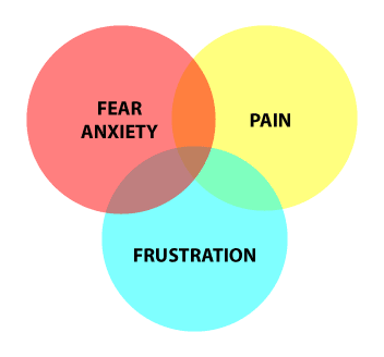 anxiety-pan-frus-triad