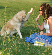 dog-high-five-woman